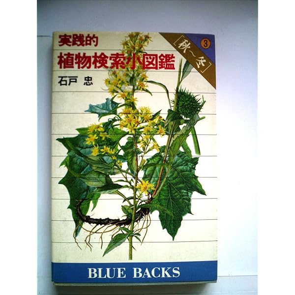実践的植物検索小図鑑 2 夏 (ブルーバックス) 実践的植物検索小図鑑〈2〉夏 (1979年) (ブルーバックス) | 石戸